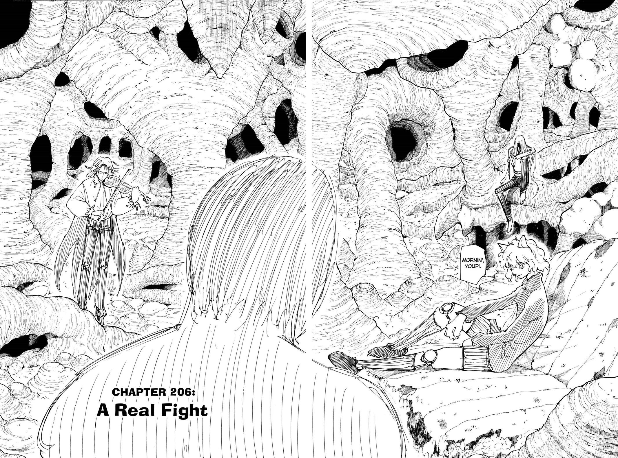 Hunter x Hunter Chapter 206 — page 4