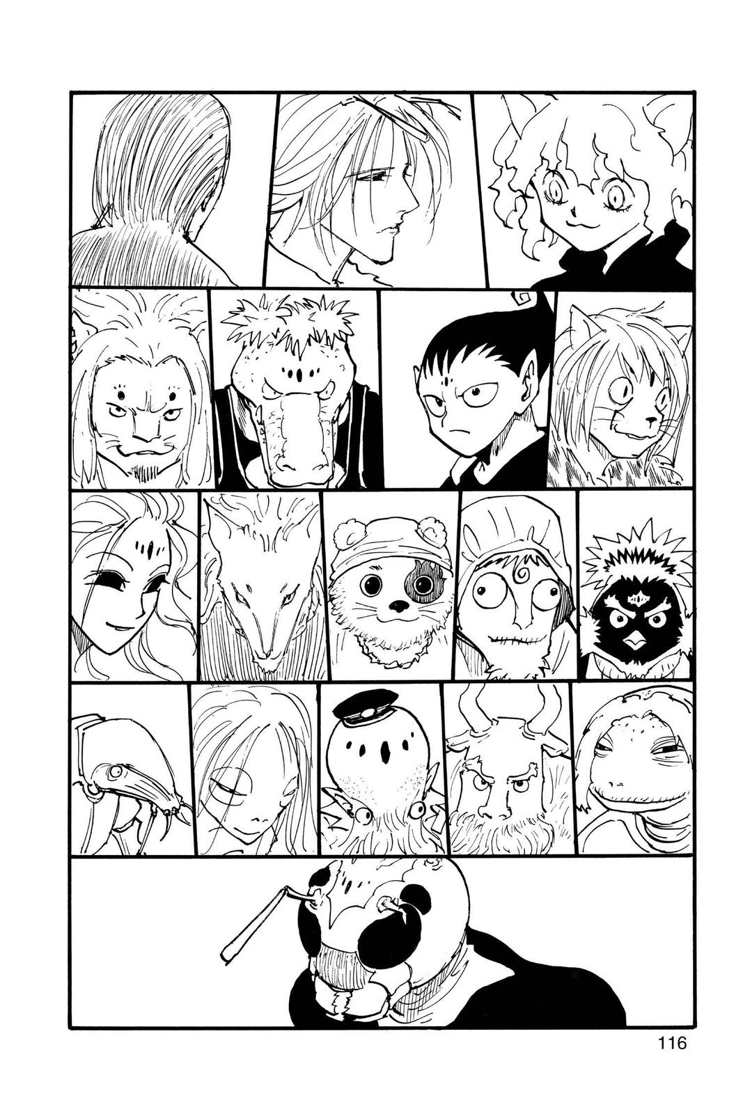 Hunter x Hunter Chapter 206 — page 13