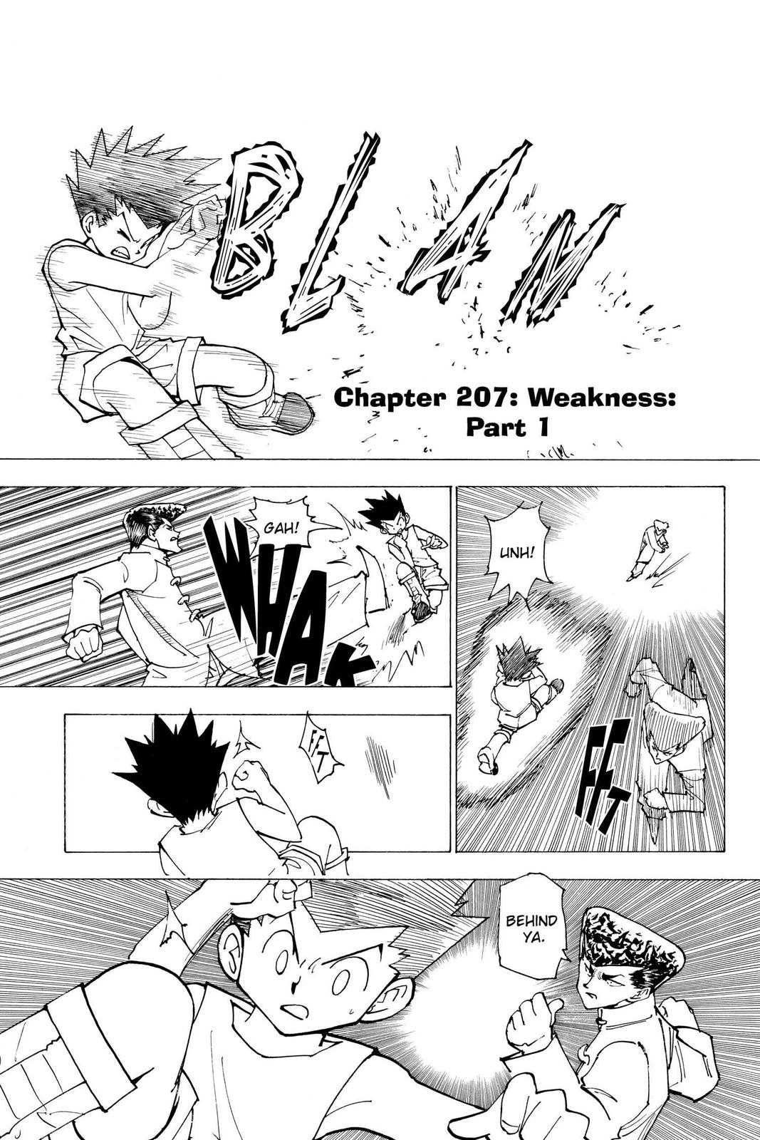 Hunter x Hunter Chapter 207 — page 1