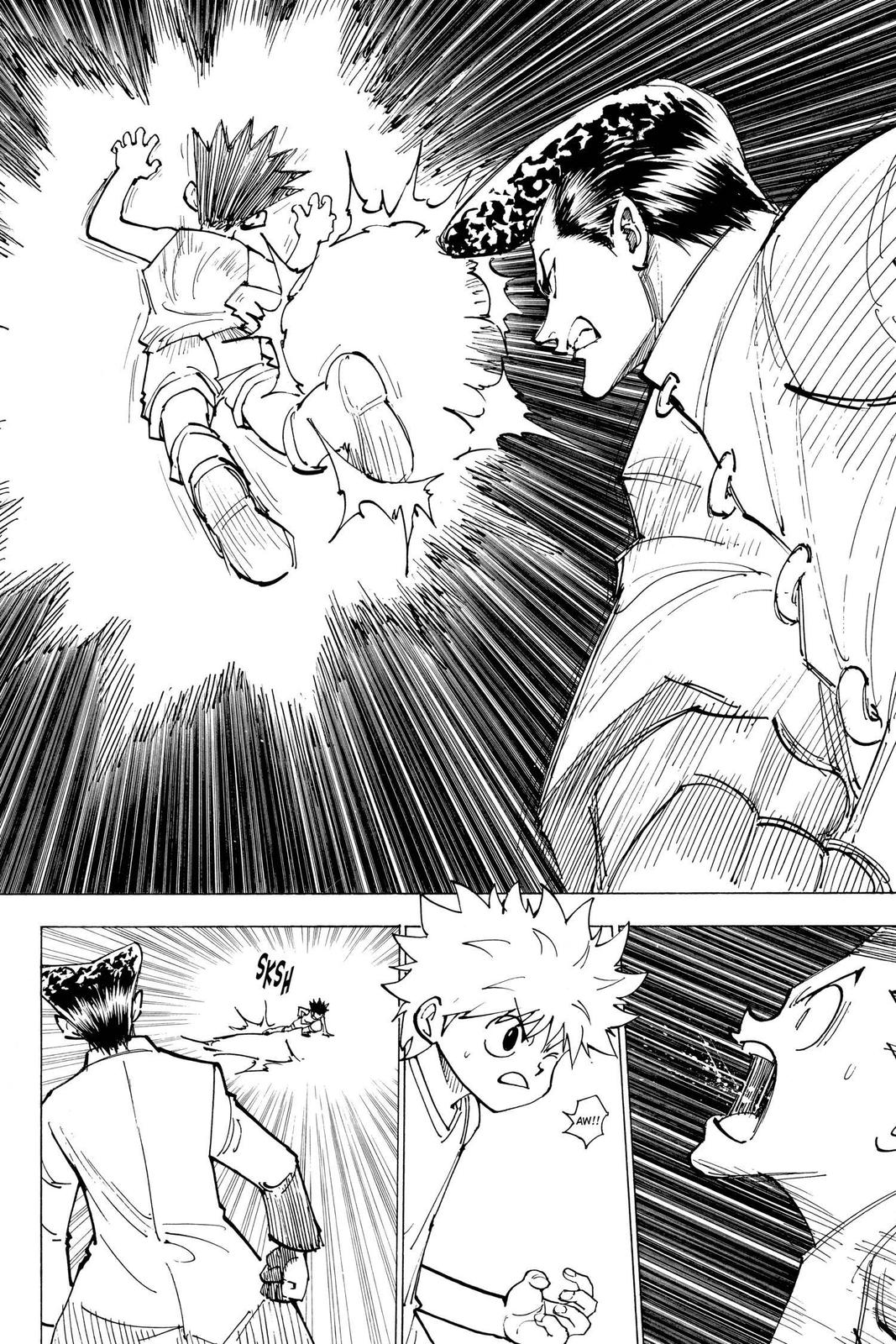 Hunter x Hunter Chapter 207 — page 2