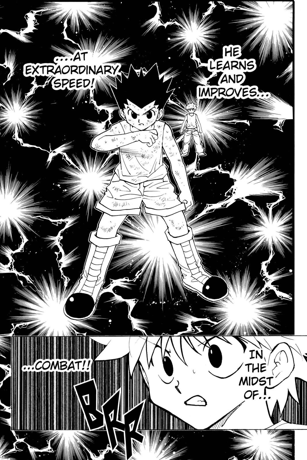 Hunter x Hunter Chapter 208 — page 8
