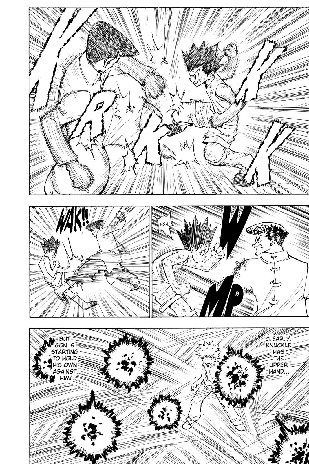 Hunter x Hunter Chapter 208 — page 10
