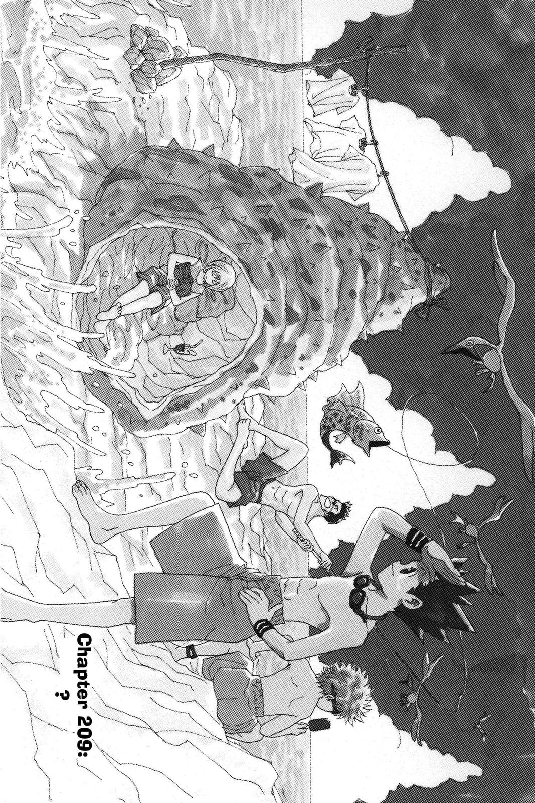 Hunter x Hunter Chapter 209 — page 1
