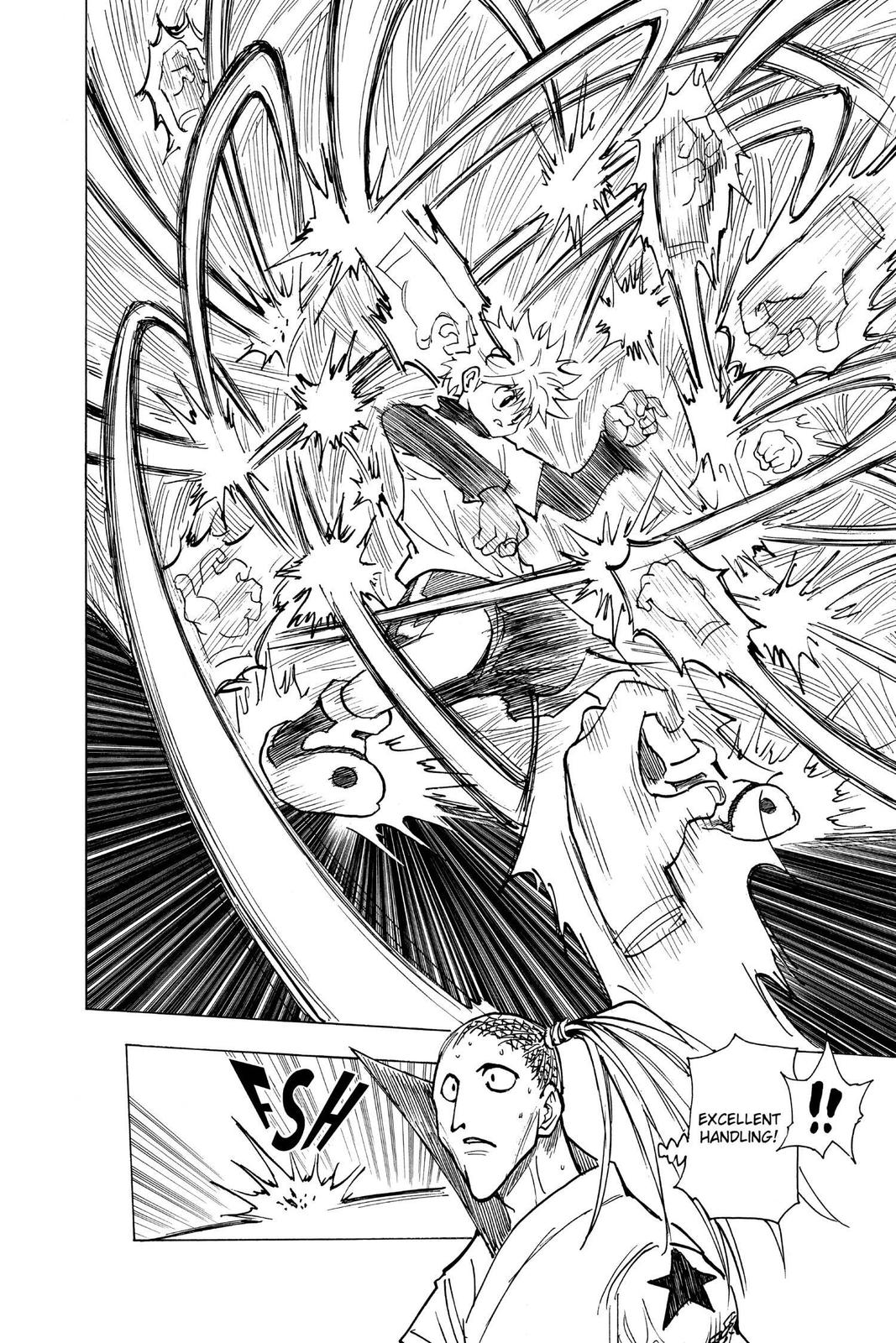 Hunter x Hunter Chapter 212 — page 10