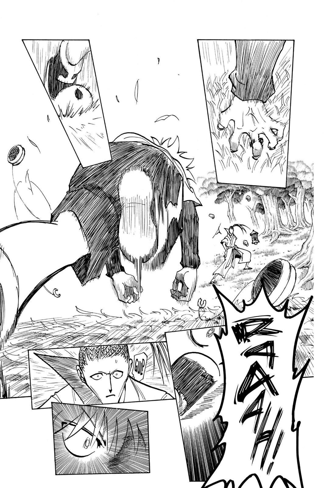 Hunter x Hunter Chapter 212 — page 17