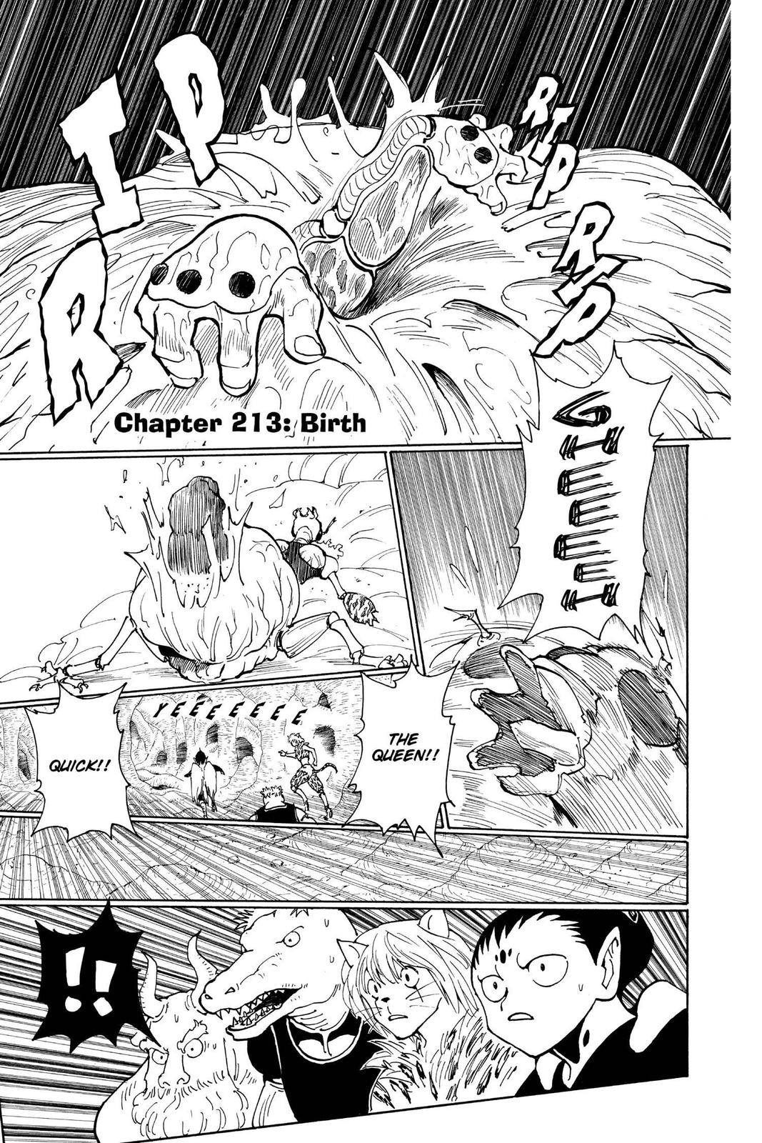 Hunter x Hunter Chapter 213 — page 1