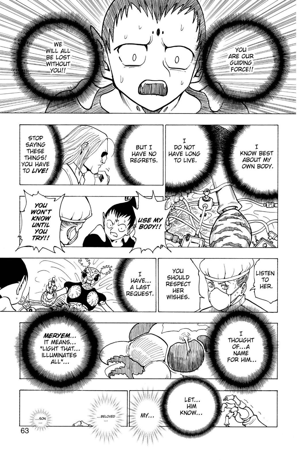 Hunter x Hunter Chapter 215 — page 9