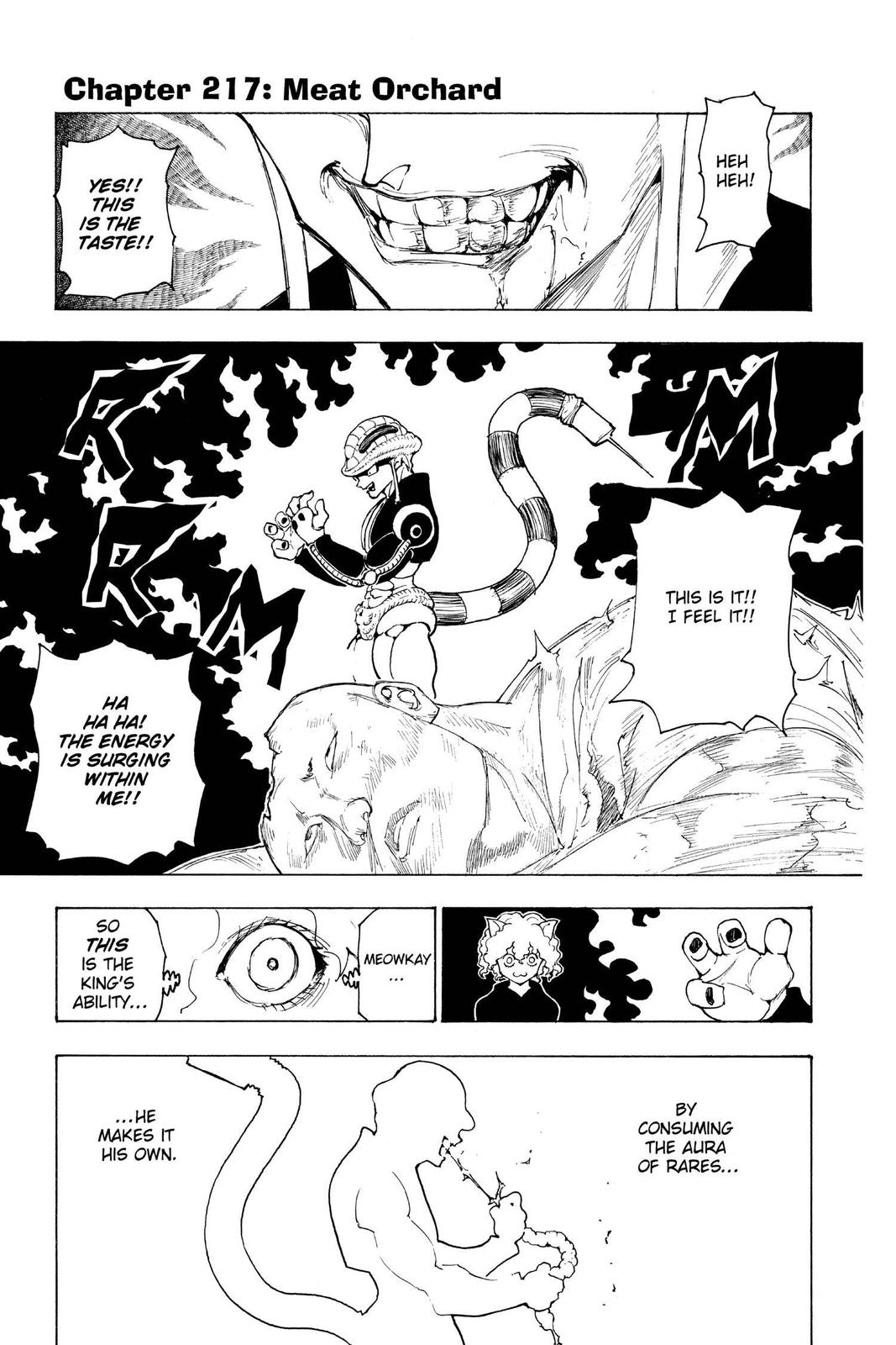 Hunter x Hunter Chapter 217 — page 1