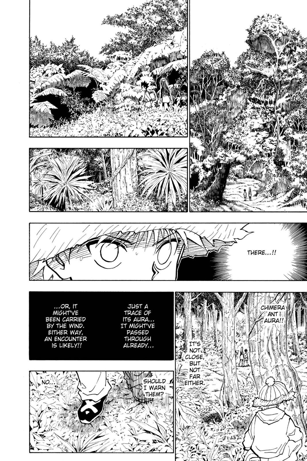 Hunter x Hunter Chapter 218 — page 10