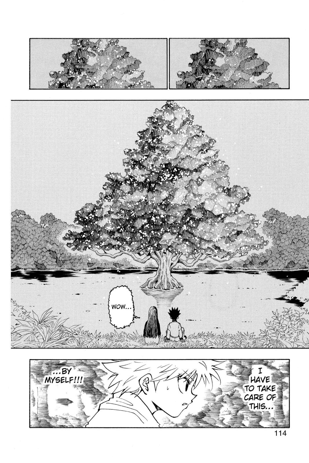 Hunter x Hunter Chapter 218 — page 12
