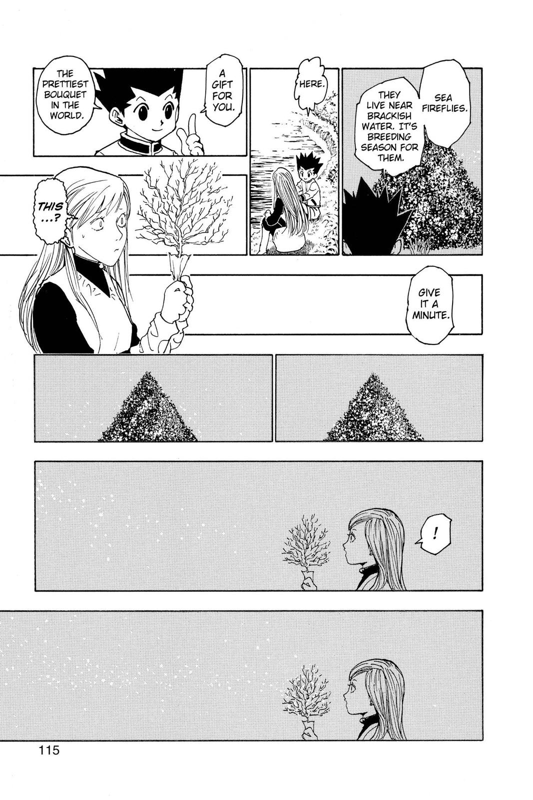 Hunter x Hunter Chapter 218 — page 13
