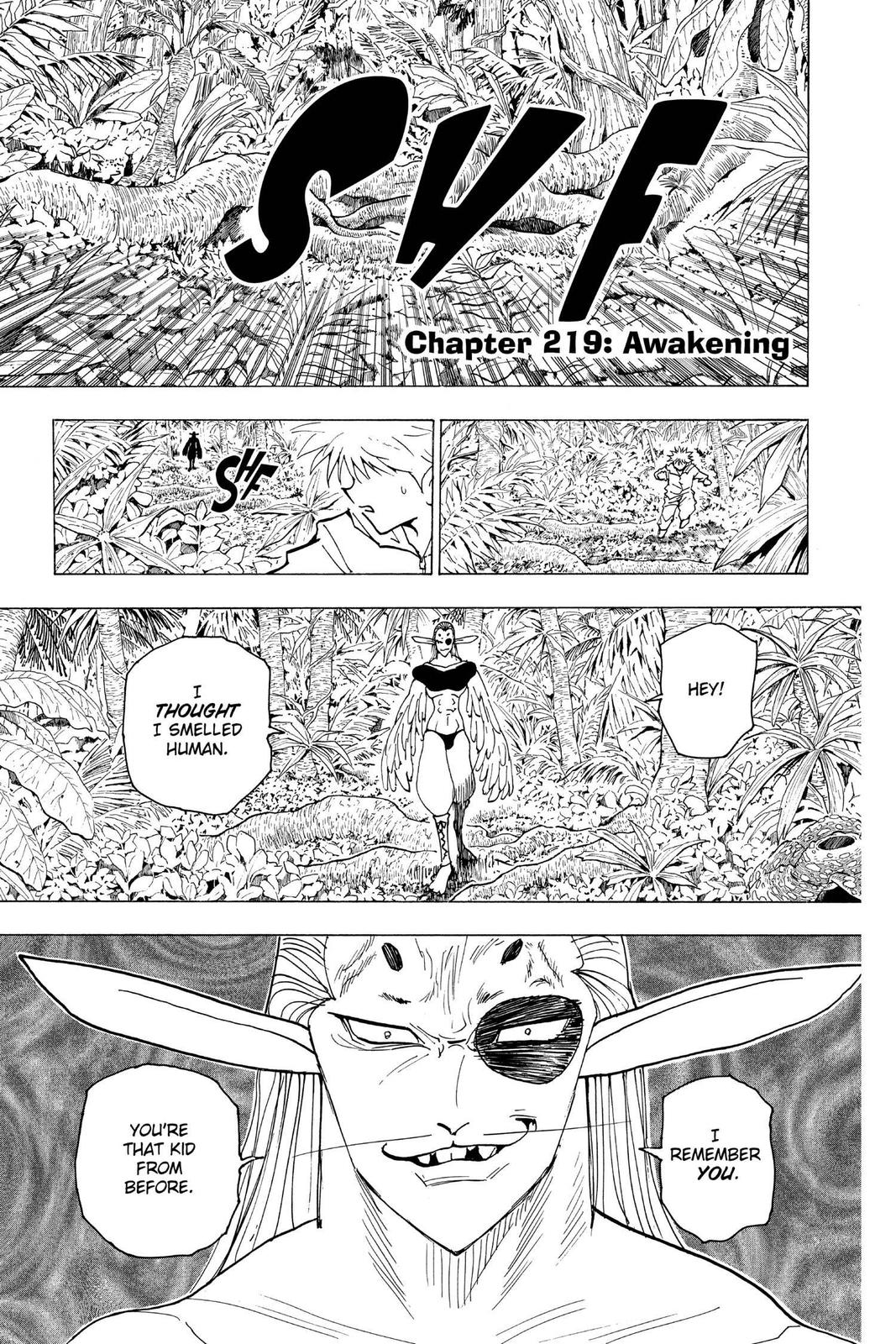 Hunter x Hunter Chapter 219 — page 1