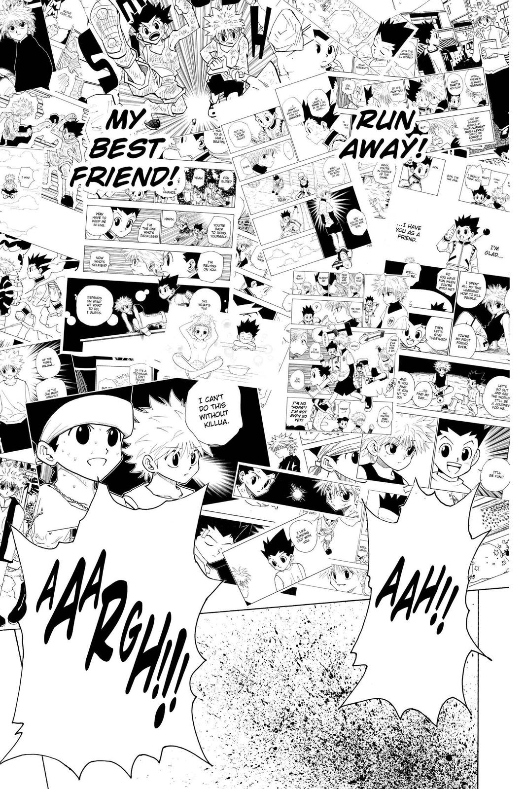 Hunter x Hunter Chapter 219 — page 9
