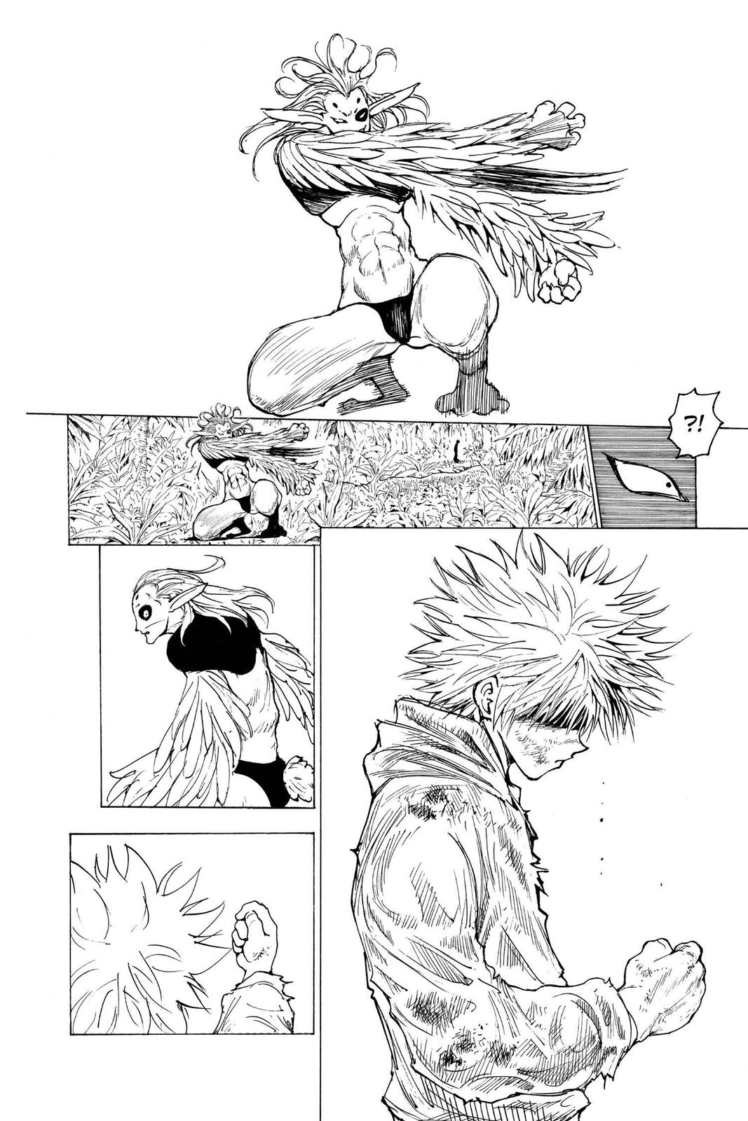 Hunter x Hunter Chapter 219 — page 10