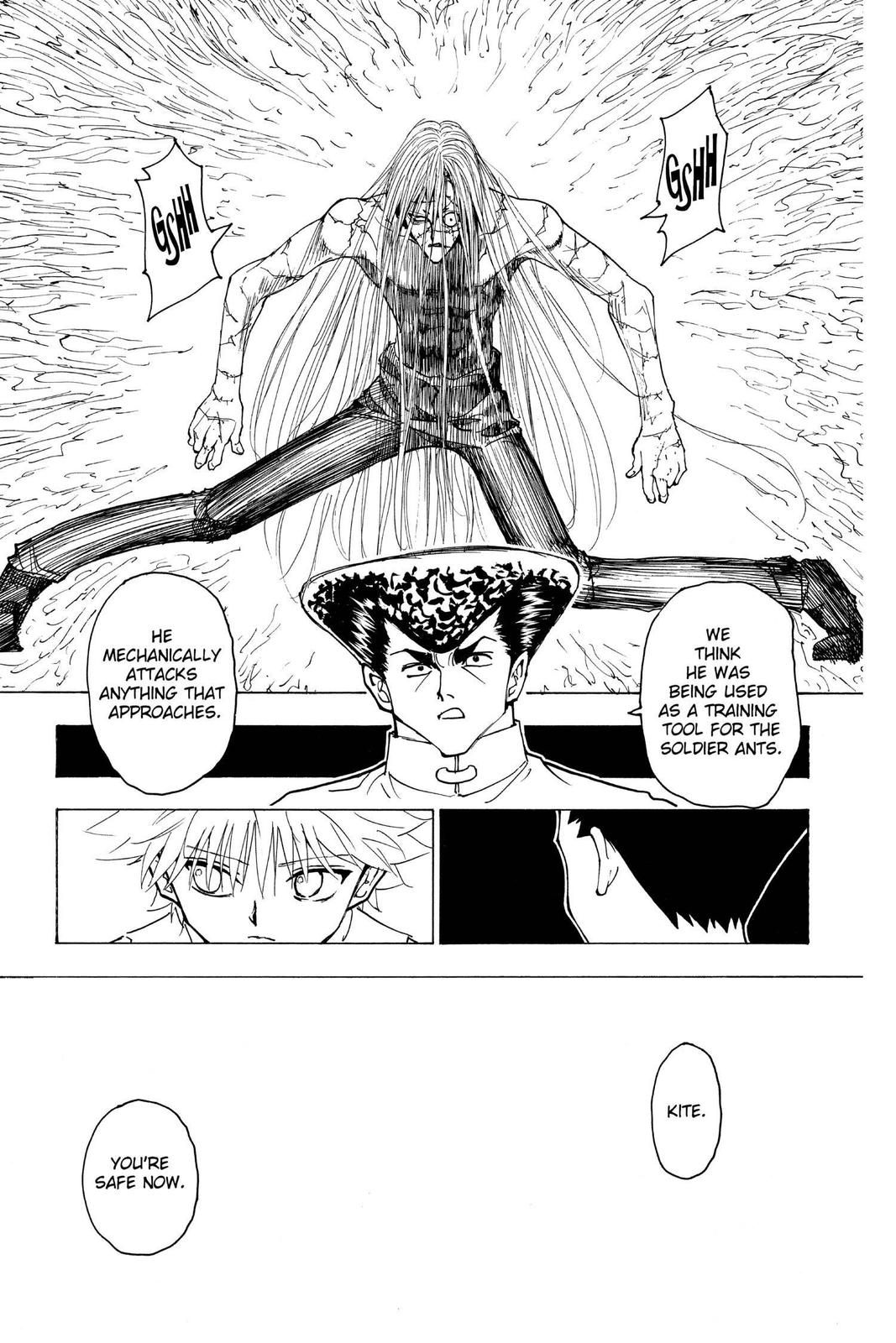 Hunter x Hunter Chapter 222 — page 5