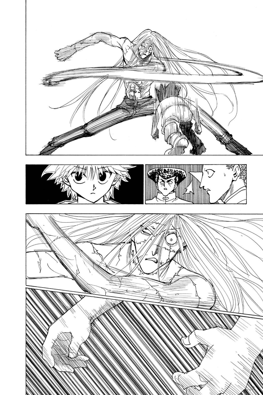 Hunter x Hunter Chapter 222 — page 10
