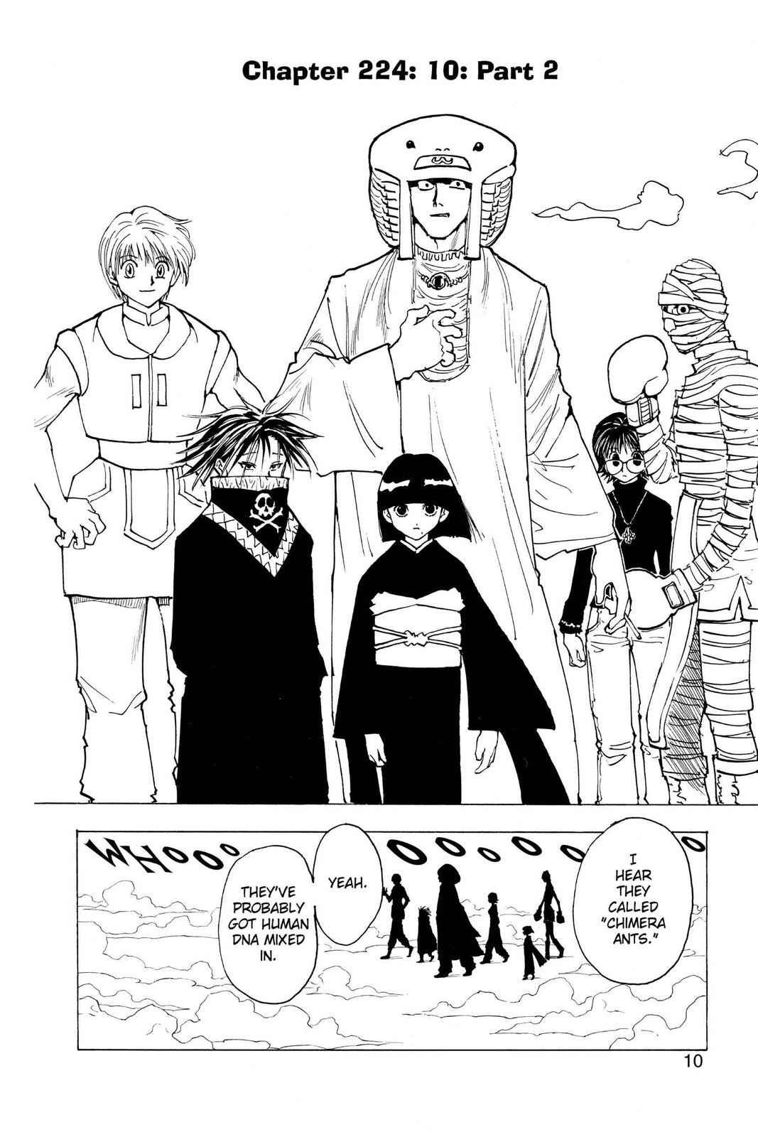 Hunter x Hunter Chapter 224 — page 10