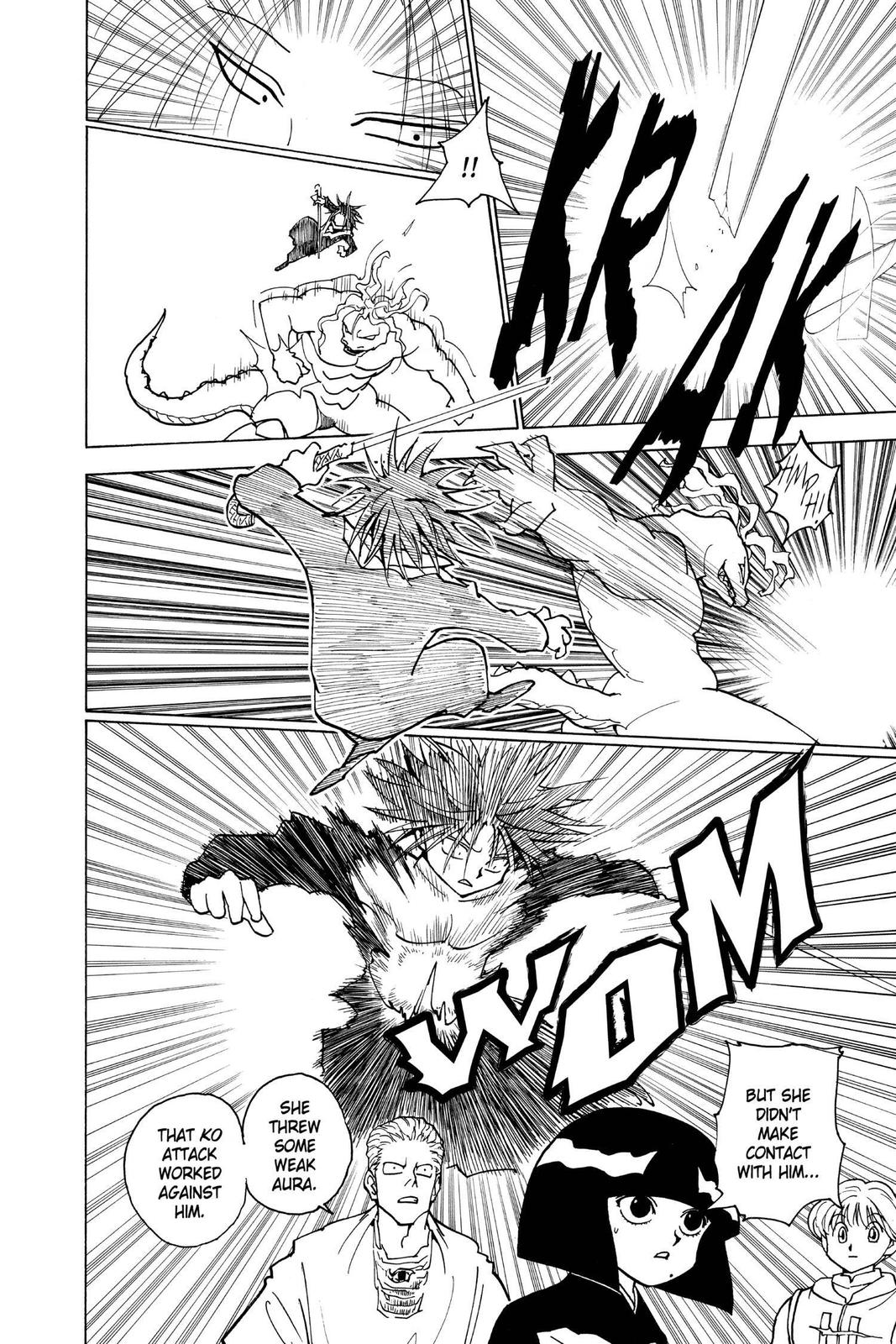 Hunter x Hunter Chapter 228 — page 14
