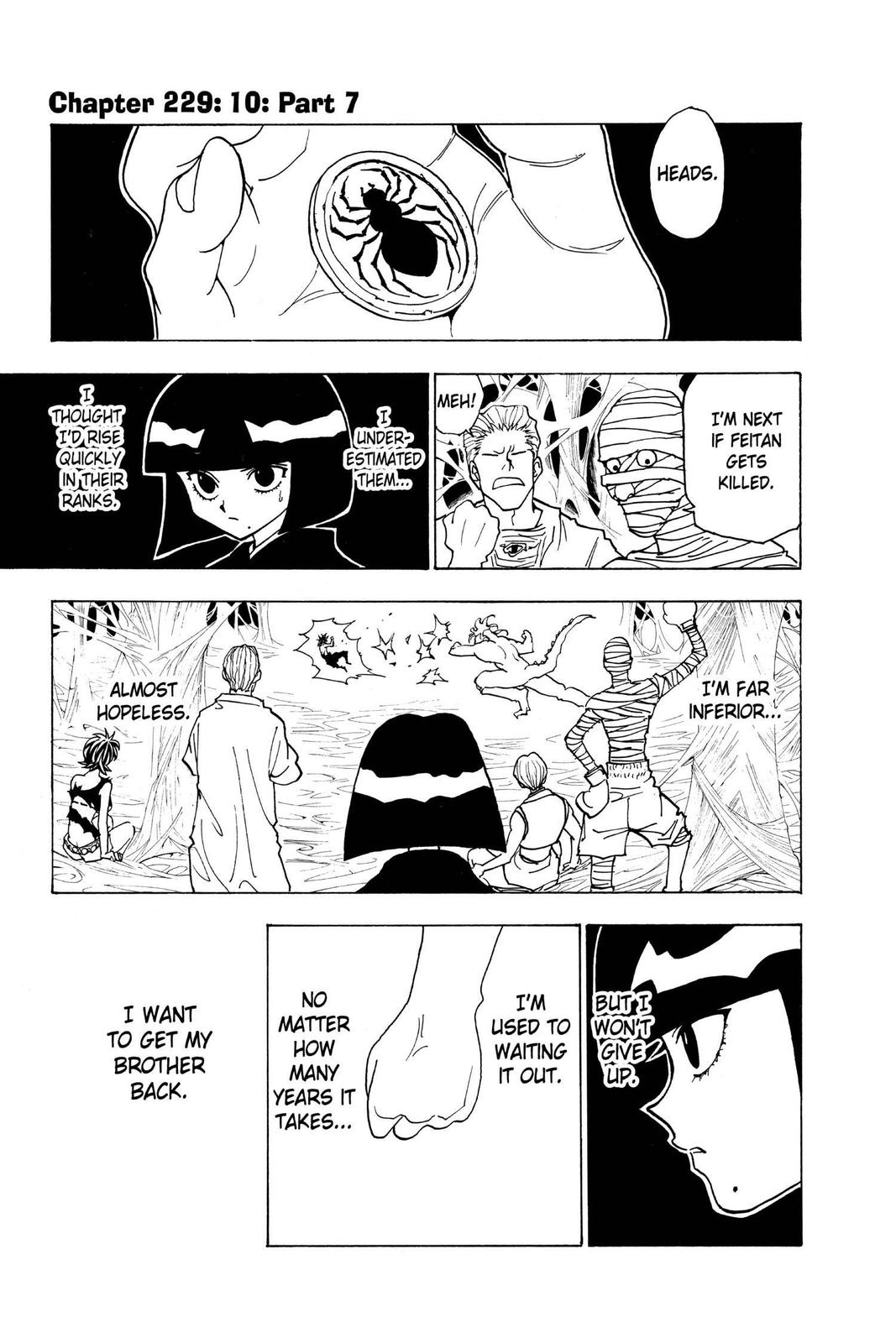 Hunter x Hunter Chapter 229 — page 1