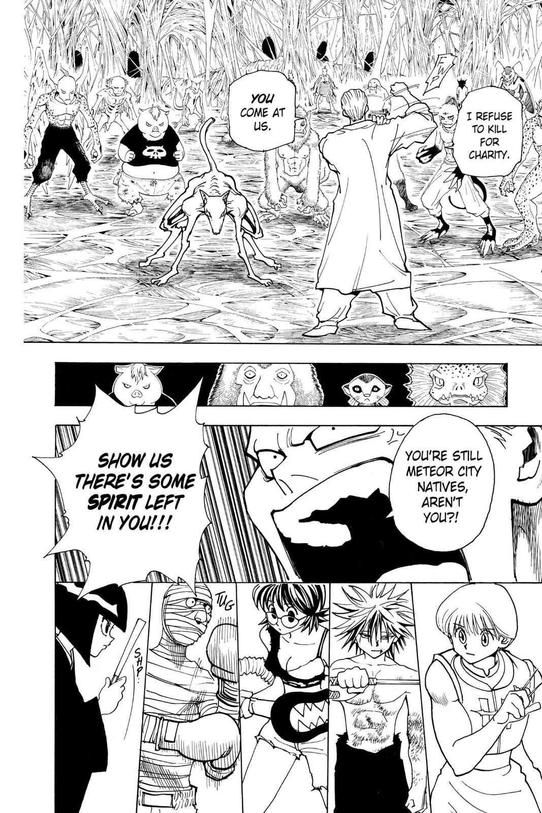 Hunter x Hunter Chapter 229 — page 12