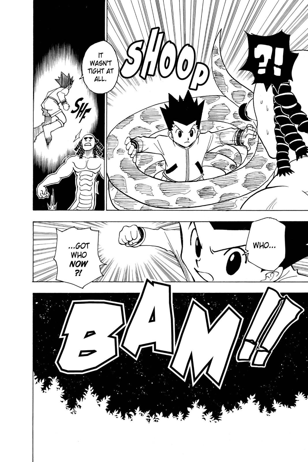 Hunter x Hunter Chapter 231 — page 12