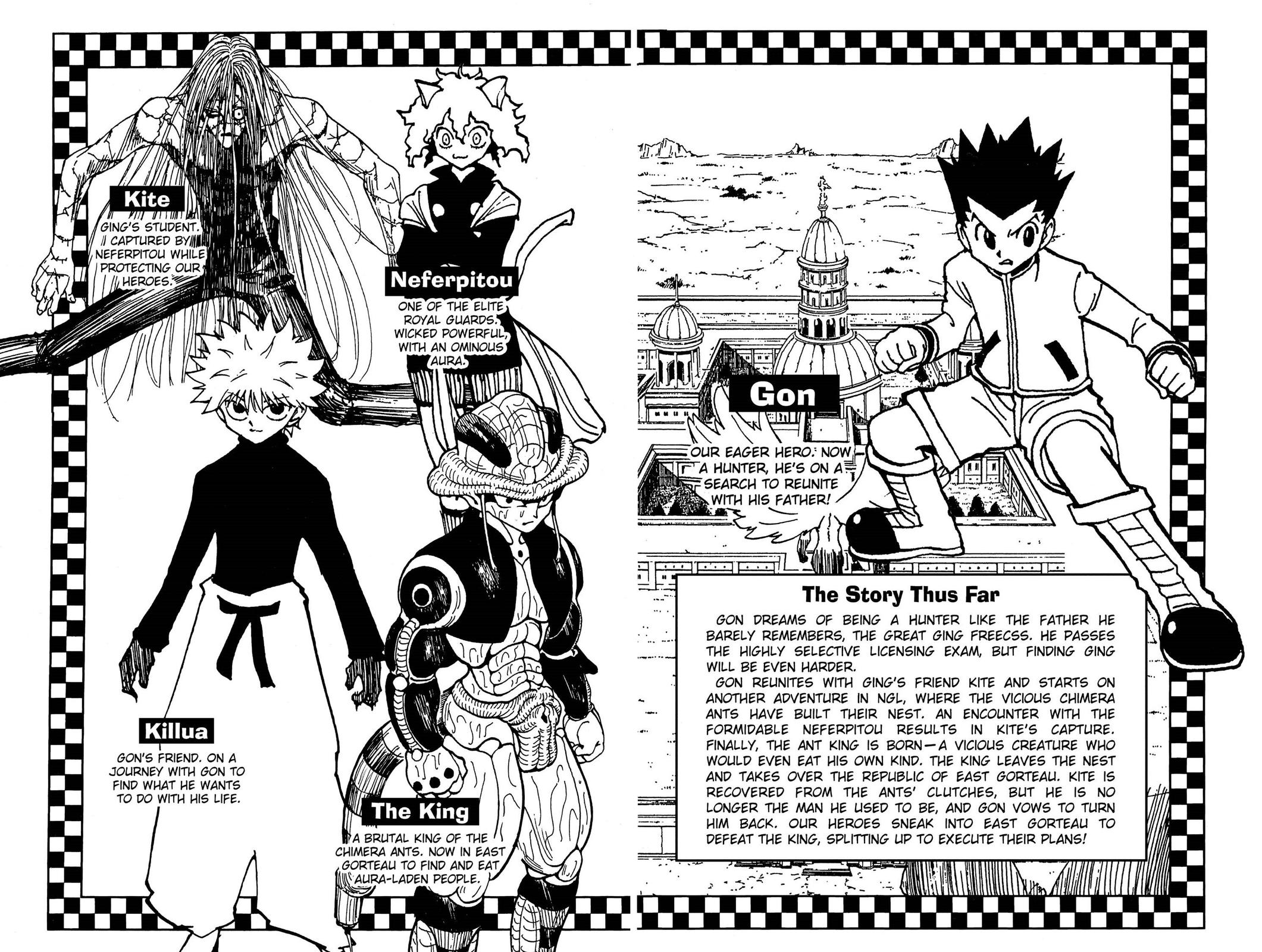 Hunter x Hunter Chapter 236 — page 5