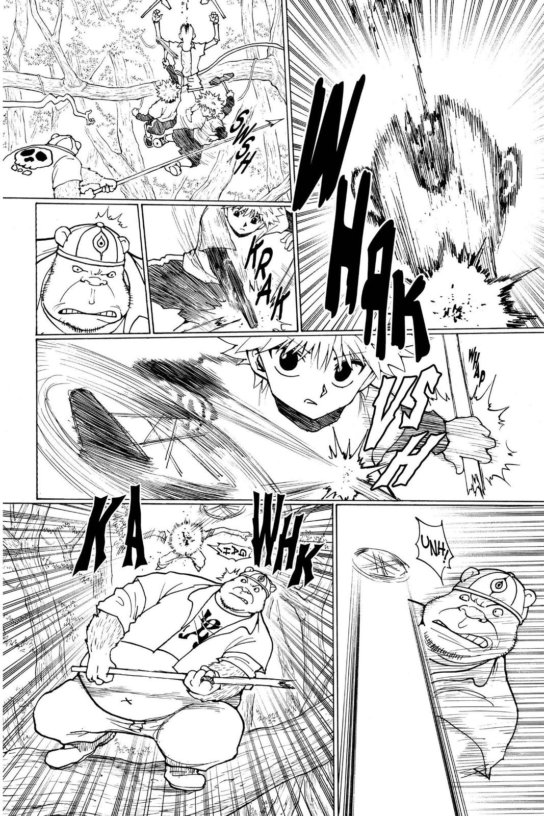 Hunter x Hunter Chapter 236 — page 12