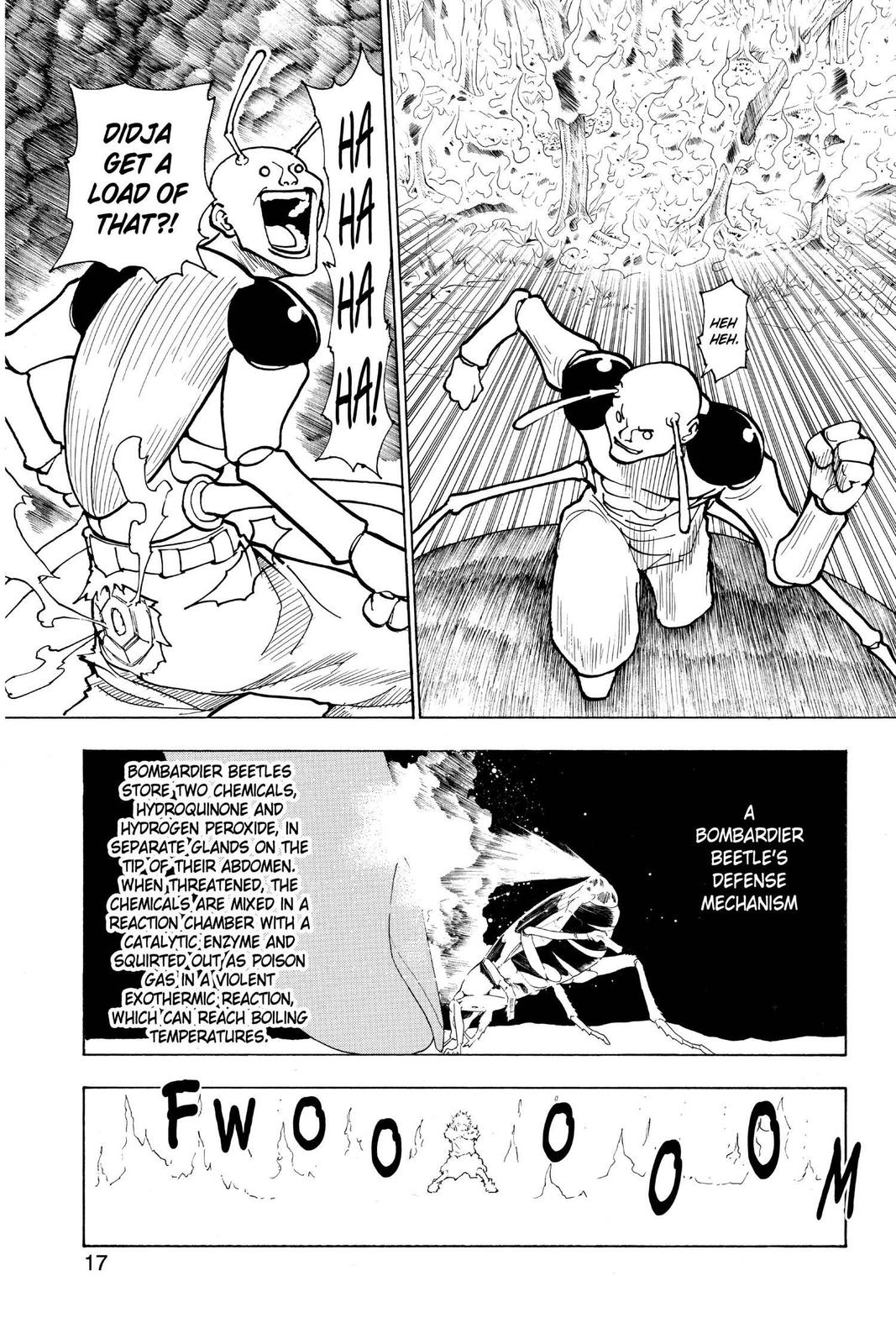 Hunter x Hunter Chapter 236 — page 17