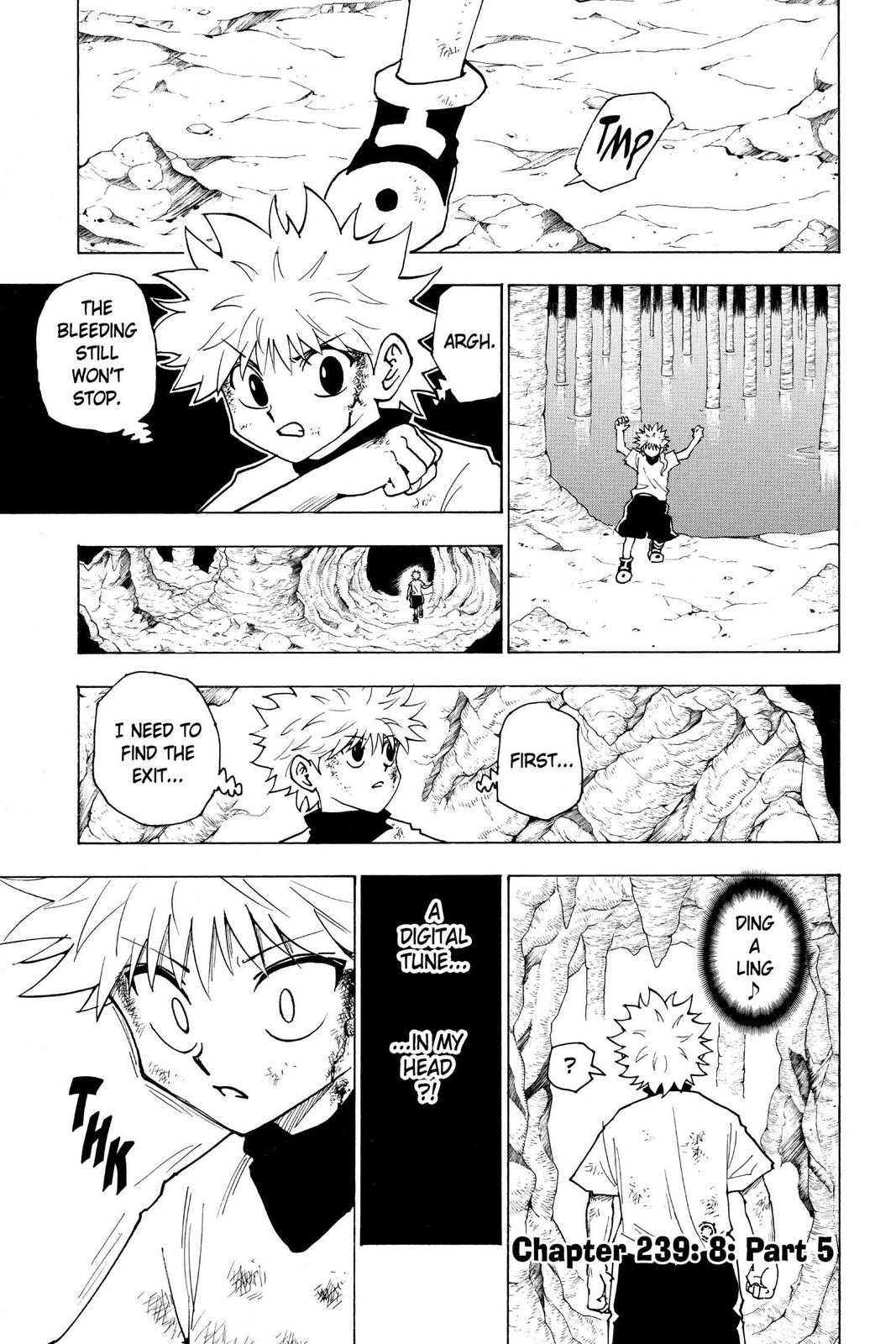 Hunter x Hunter Chapter 239 — page 1