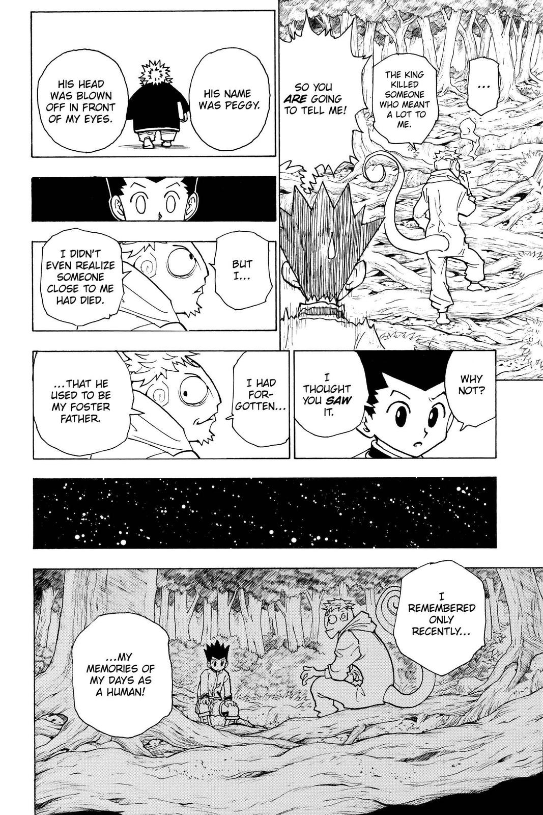 Hunter x Hunter Chapter 242 — page 12