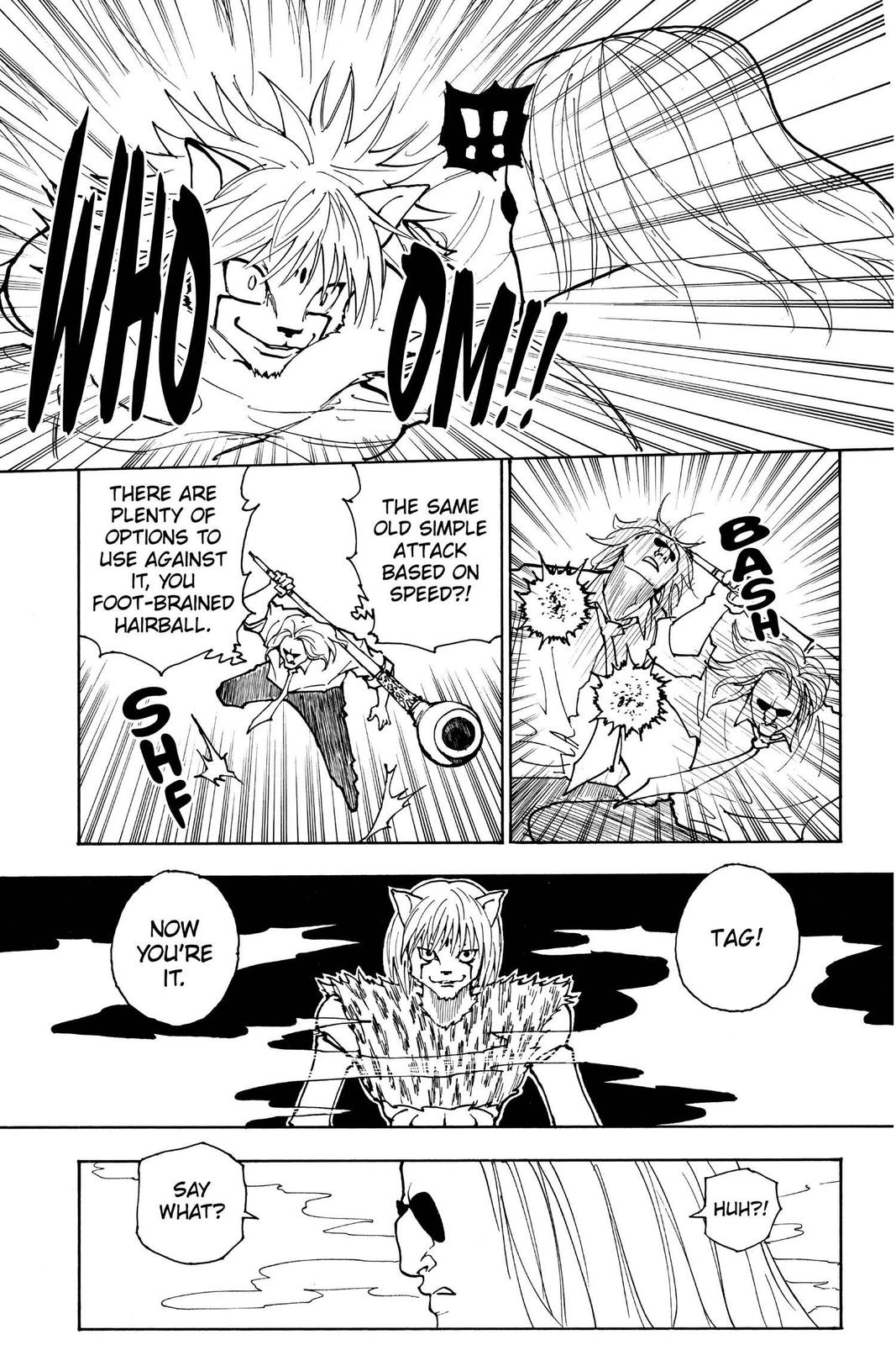 Hunter x Hunter Chapter 245 — page 3