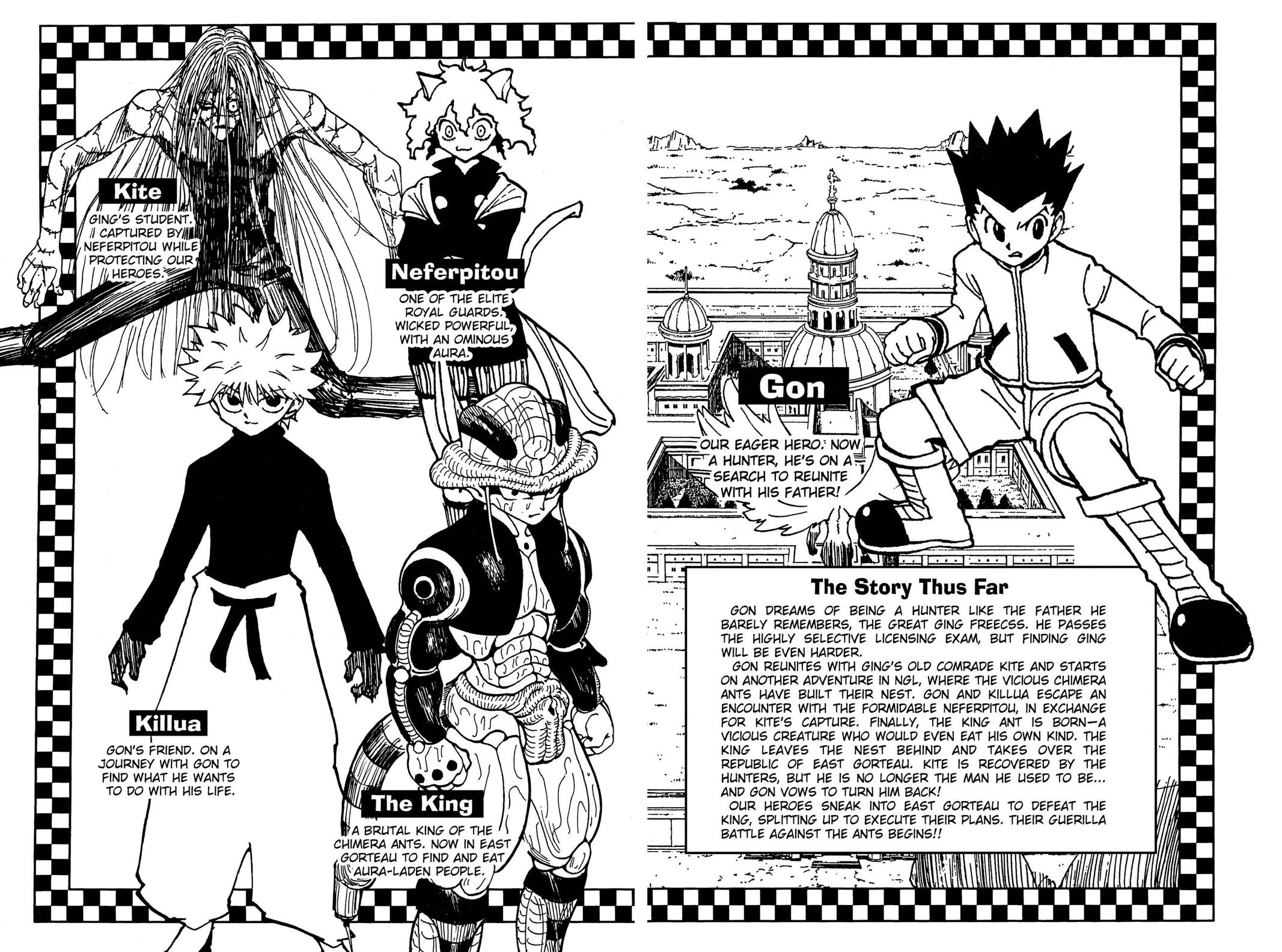 Hunter x Hunter Chapter 248 — page 5