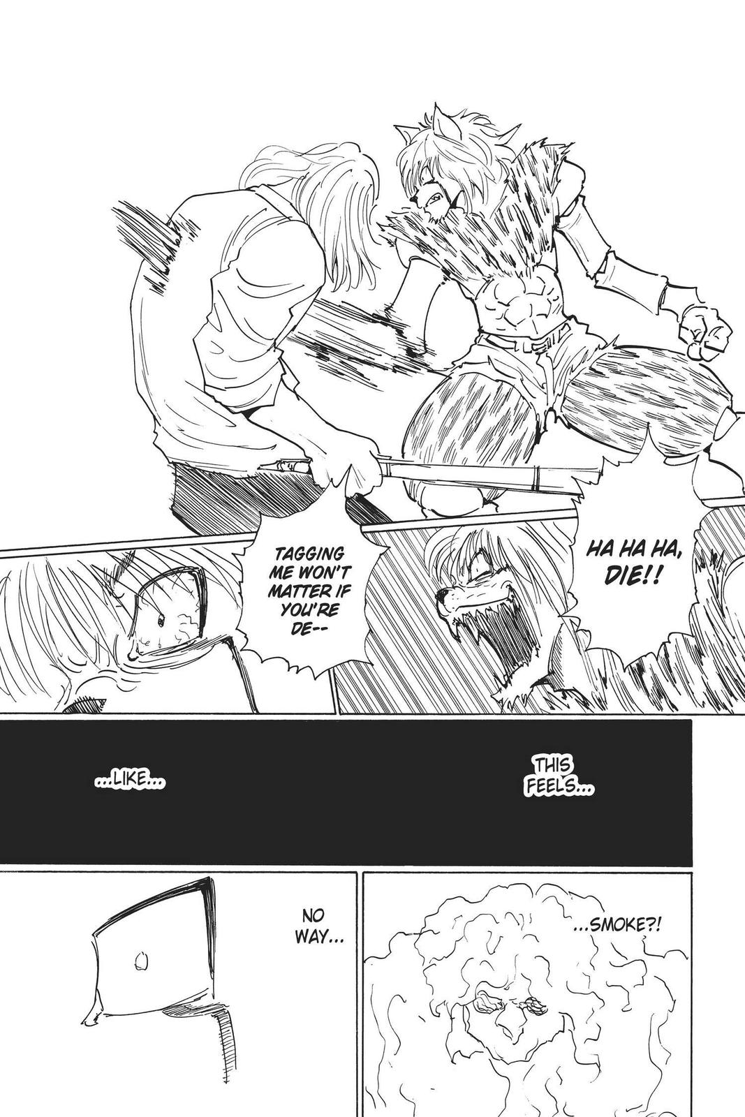 Hunter x Hunter Chapter 248 — page 11
