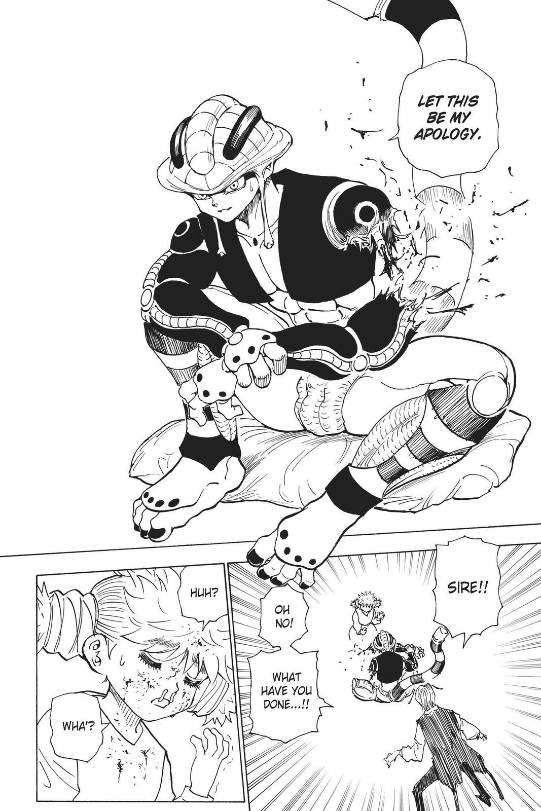 Hunter x Hunter Chapter 249 — page 8