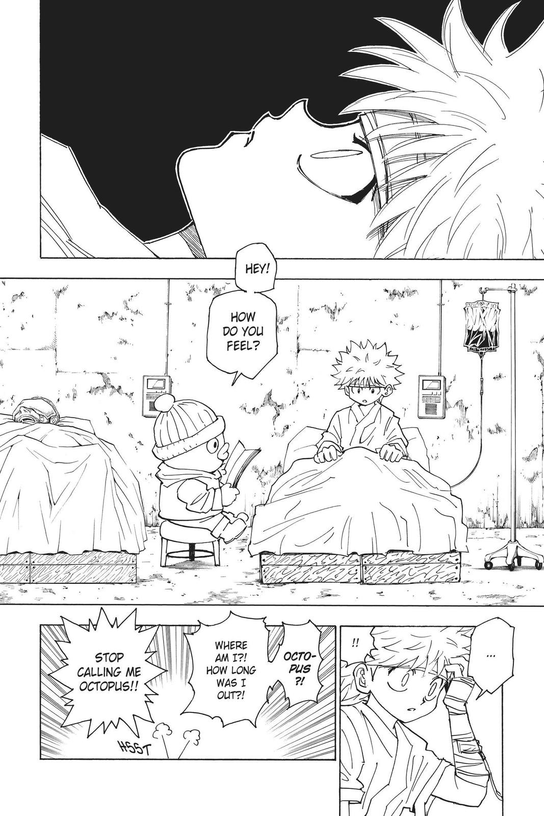 Hunter x Hunter Chapter 255 — page 3