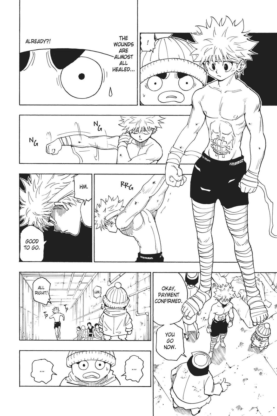 Hunter x Hunter Chapter 255 — page 7