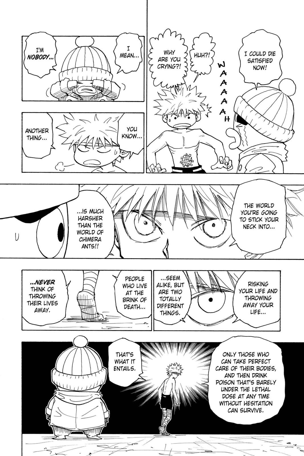 Hunter x Hunter Chapter 255 — page 11