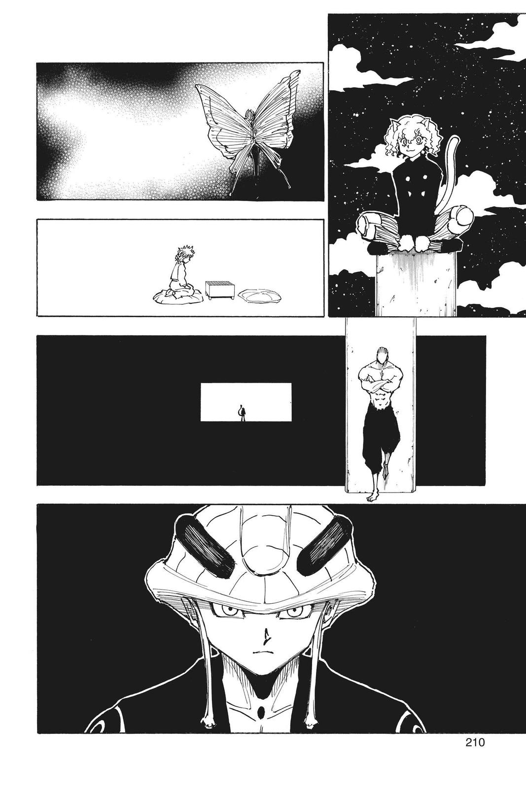 Hunter x Hunter Chapter 260 — page 10