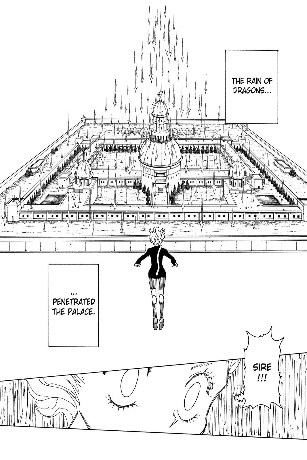 Hunter x Hunter Chapter 265 — page 13