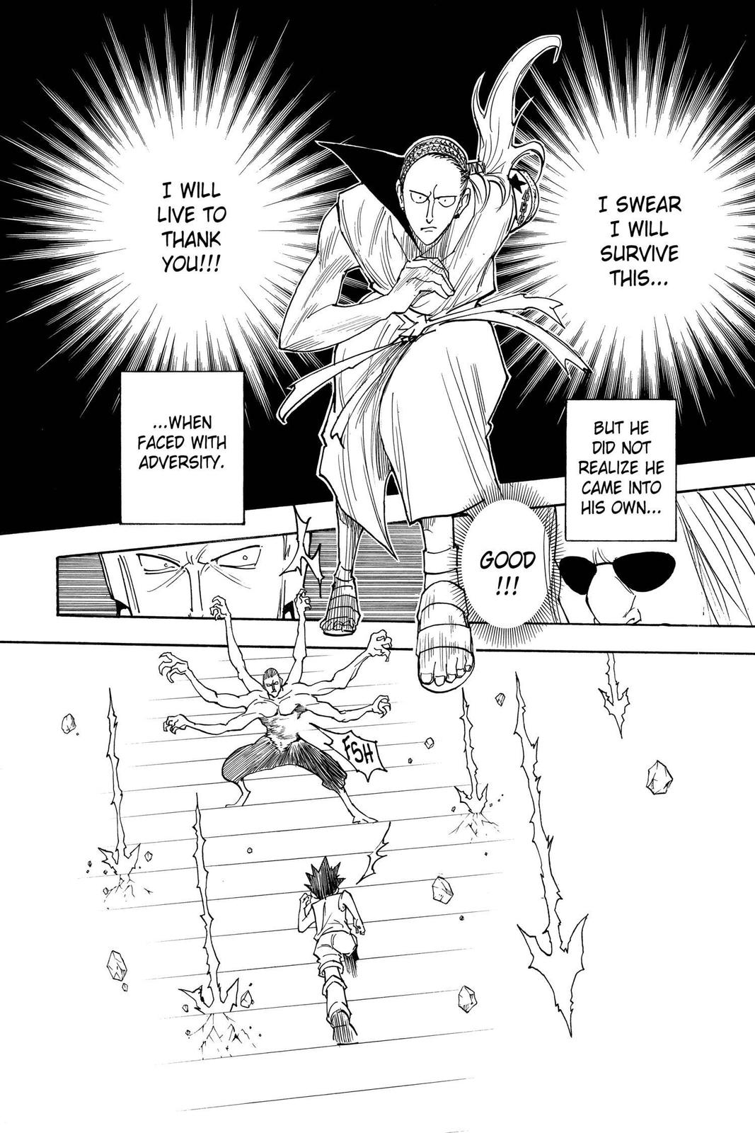 Hunter x Hunter Chapter 266 — page 13