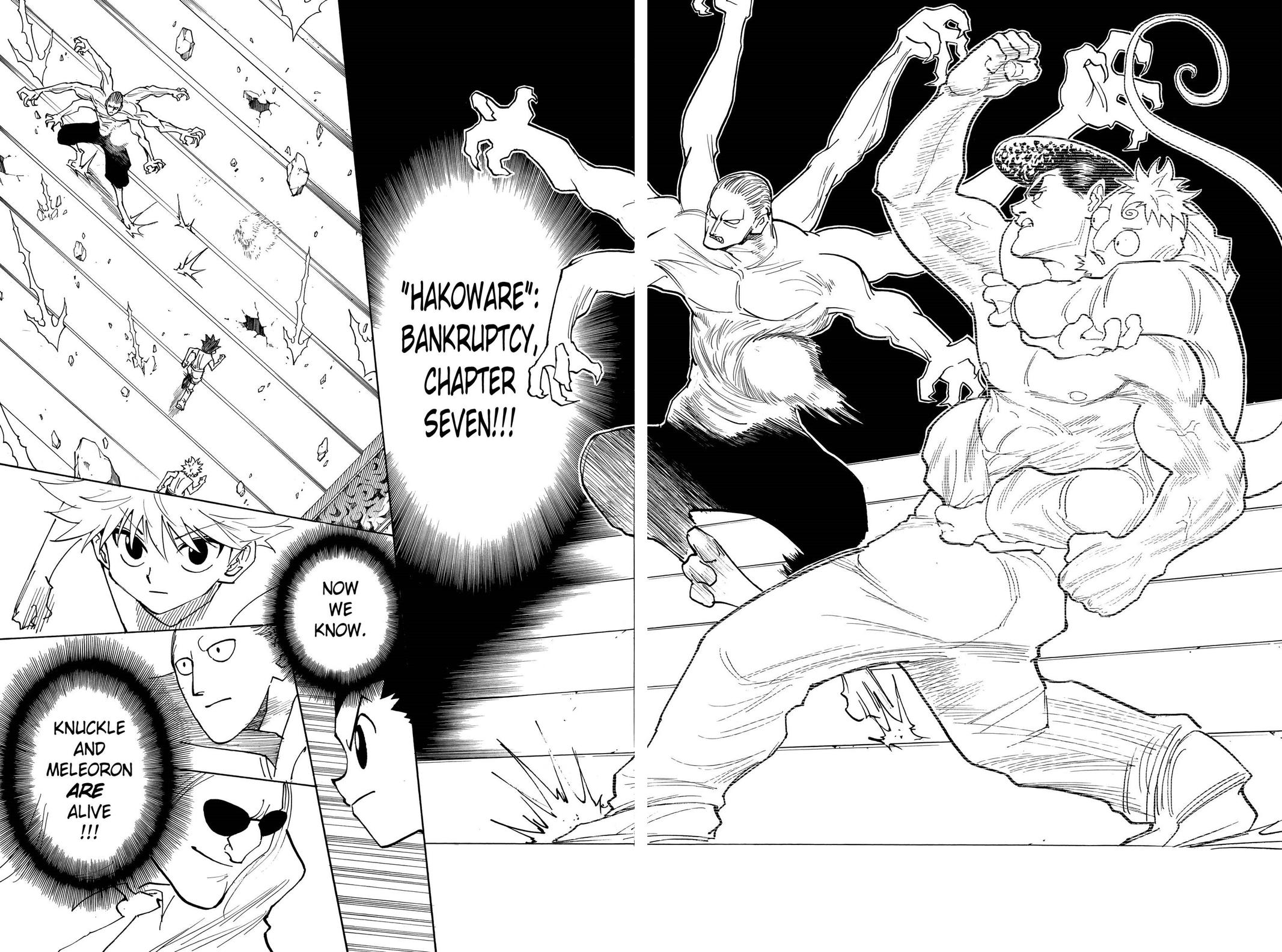 Hunter x Hunter Chapter 266 — page 15