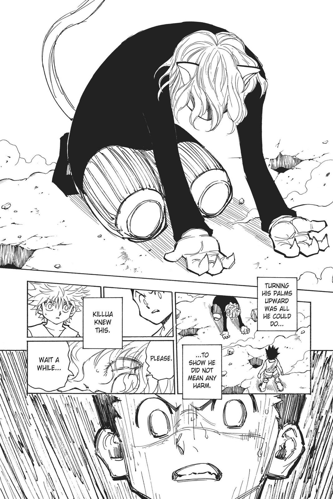 Hunter x Hunter Chapter 274 — page 9