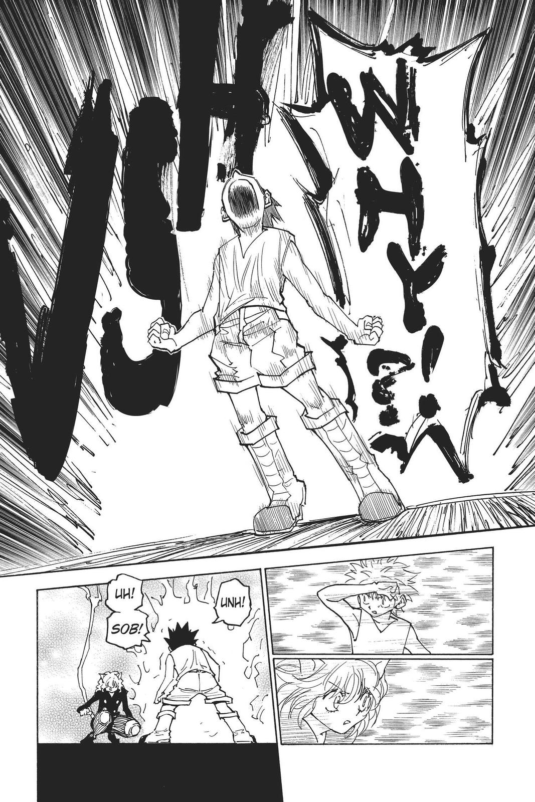 Hunter x Hunter Chapter 275 — page 9