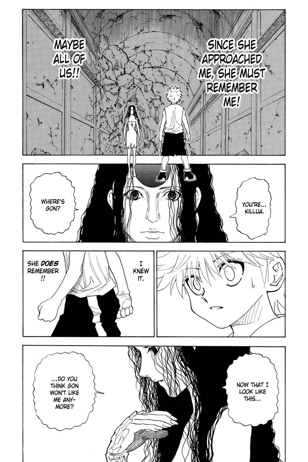 Hunter x Hunter Chapter 293 — page 9