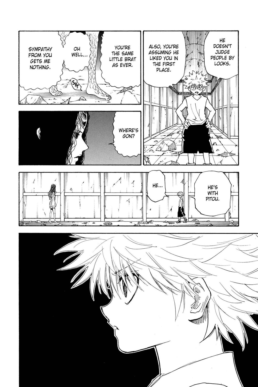 Hunter x Hunter Chapter 293 — page 10