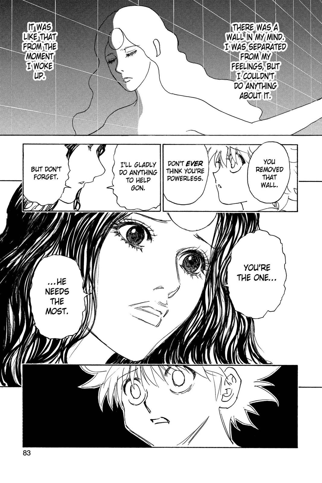 Hunter x Hunter Chapter 294 — page 17