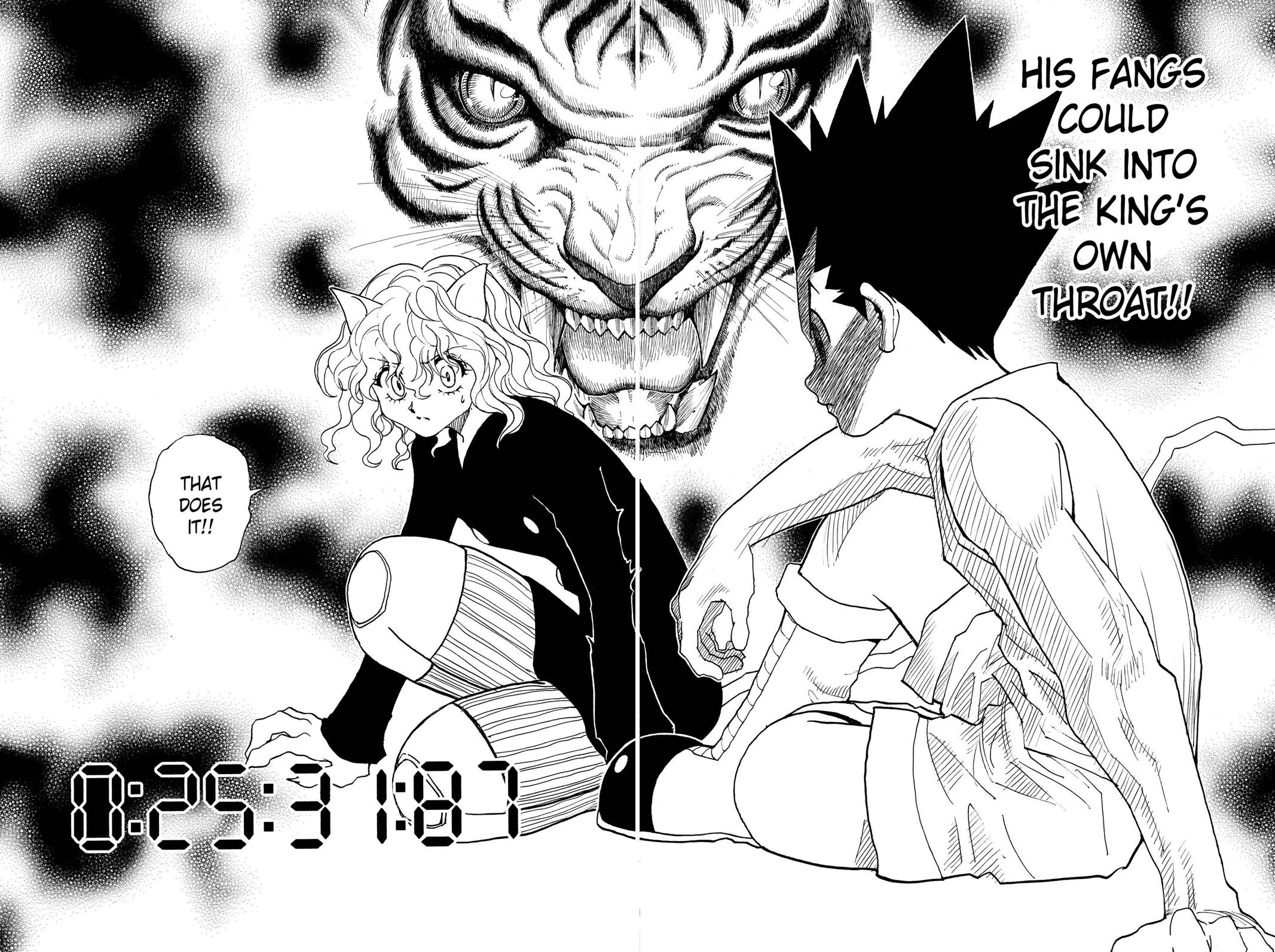 Hunter x Hunter Chapter 295 — page 14