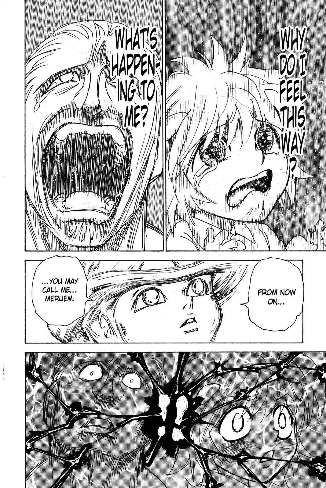 Hunter x Hunter Chapter 299 — page 14