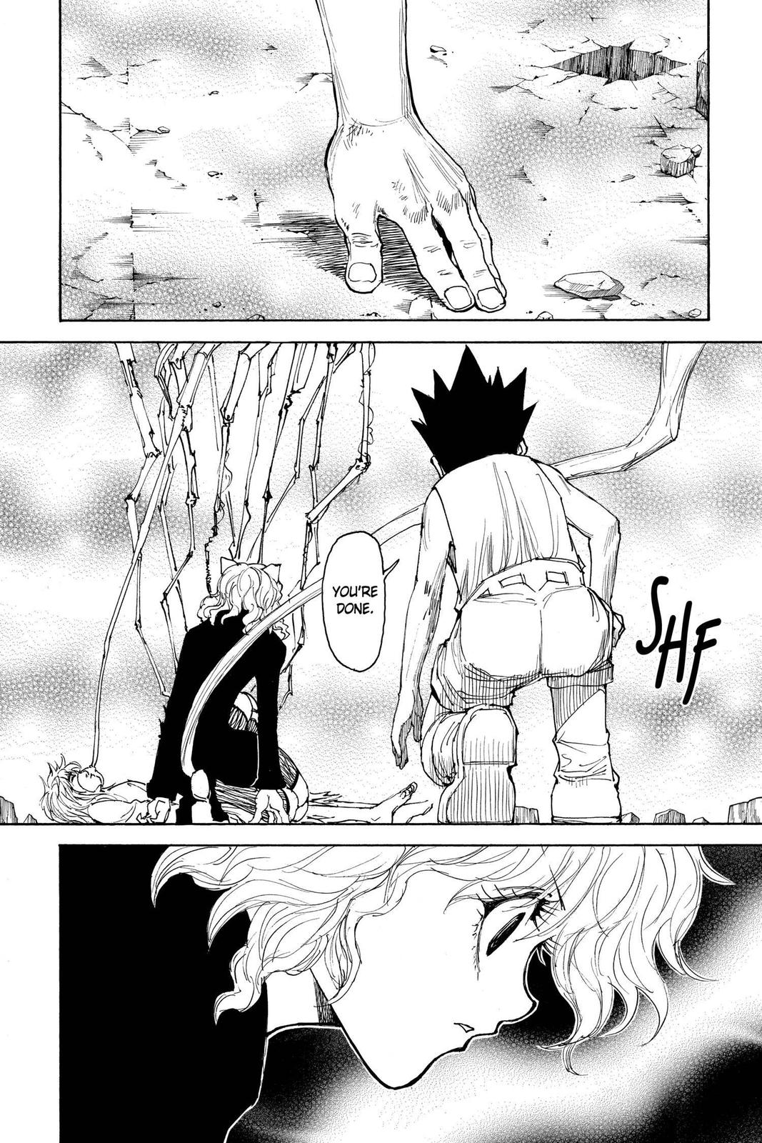 Hunter x Hunter Chapter 300 — page 8