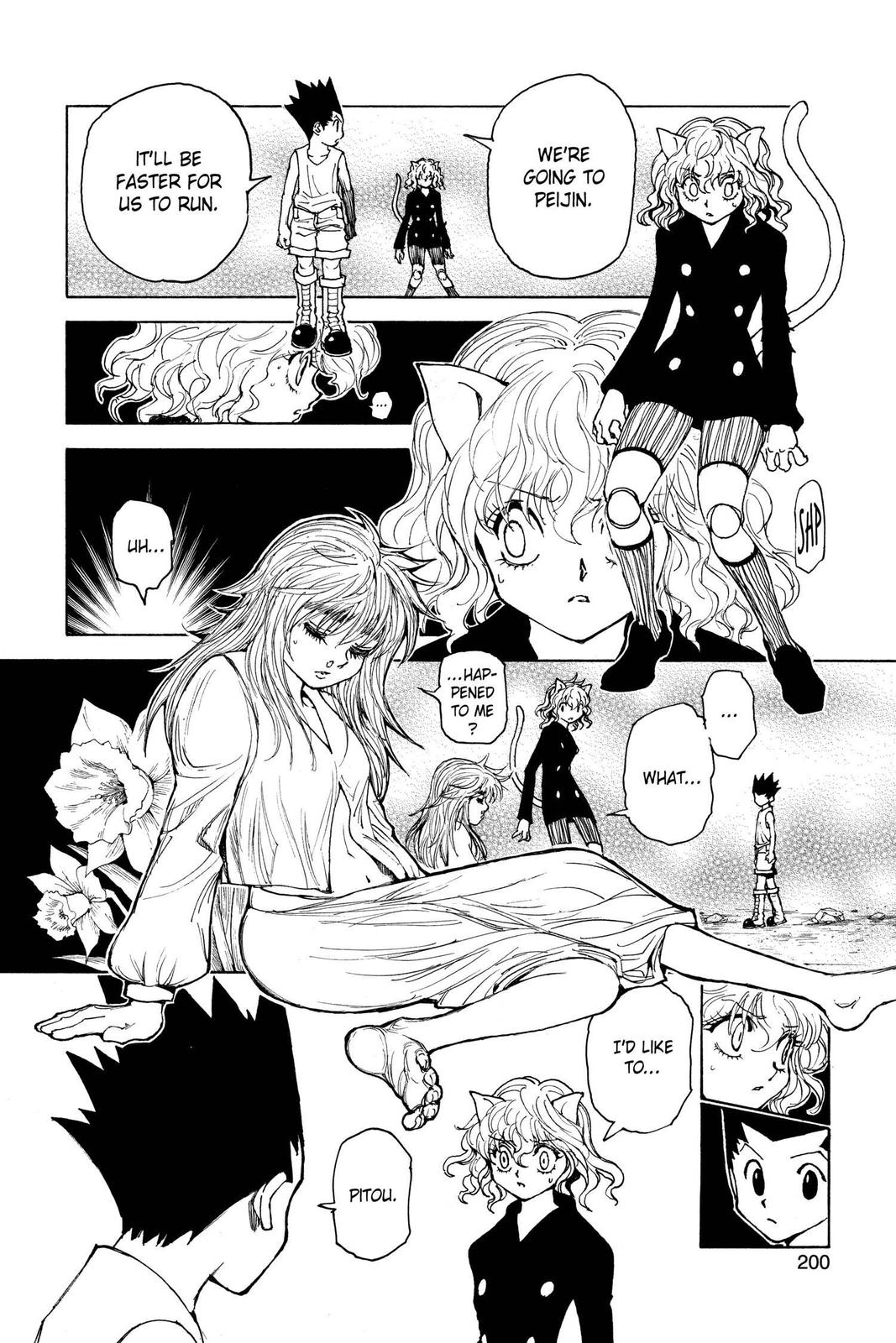 Hunter x Hunter Chapter 300 — page 11